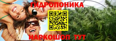 не бодяженный Аша