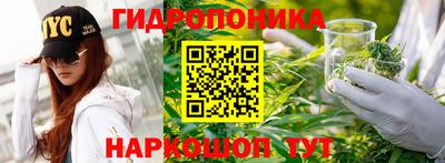 ALPHA PVP Баксан